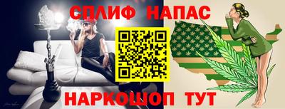 гашик Пенза