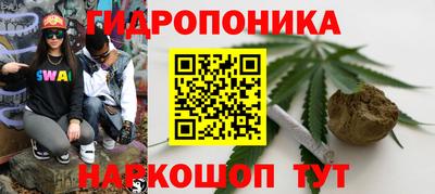 гашик Пенза