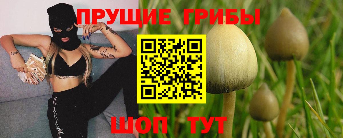 Галлюциногенные грибы ЛСД  Псилоцибиновые грибы прущие грибы  Родники  Вход с VPN 